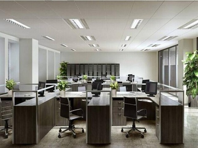 临安区怎么样可以注册公司