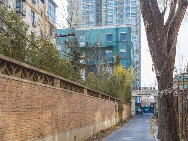 R&DSystemsIL-4重组蛋白